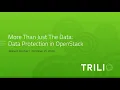 Data Protection in OpenStack More than just the Data