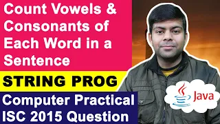 Count Vowels Consonants of each Word in a Sentence ISC Computer Practical 2015 String Program