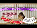 Lagu TIPS MERAWAT BURUNG JONGKANGAN AGAR CEPAT GACOR