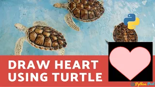 Learn How to Draw Heart Using Turtle Module and Python