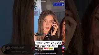 وائل يبهدل تيمار عاللايف 