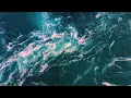 Jerro & Forester - Breathless [Lyric Video]
