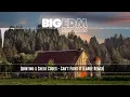 Quintino x Cheat Codes - Can't Fight It (large Remix) [FREE Download] | Big EDM Sounds
