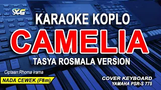 Download CAMELIA KARAOKE - VERSI TASYA ROSMALA (NADA WANITA) CIPT:RHOMA IRAMA MP3