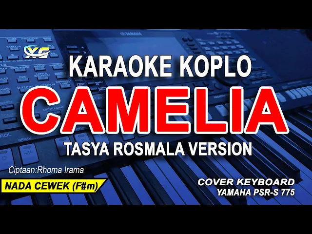 Download MP3 CAMELIA KARAOKE - VERSI TASYA ROSMALA (NADA WANITA) CIPT:RHOMA IRAMA