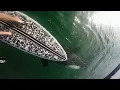 GoPro Awards: Orca vs. Paddle Board