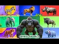 Lagu Safari Animal Sounds Song | Nursery Rhyme for Kids - Learn Animal Names and Sounds