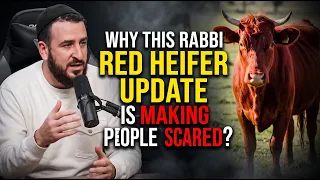 WHY THIS RABBI RED HEIFER UPDATE IS MAKING PEOPLE SCARED?