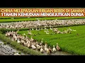 Download Lagu China Melepaskan Ribuan Bebek Di Sawah, 1 Tahun Kemudian Mengejutkan Dunia