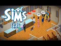 The Sims: Complete Collection (Longplay, No Commentary) #13