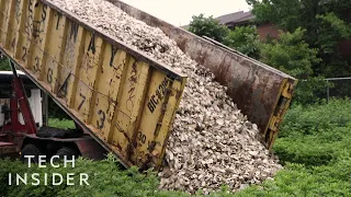 How One Group Is Restoring Thousands Of Oysters To The New York Harbor