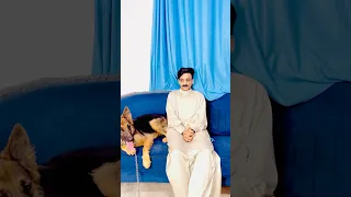 لما تجيب لي ابوك كلب ف البيت القيصر 