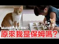 Download Lagu 【跟拍貓咪24h-More篇】原來我是保姆嗎？More的一天在幹嘛！？