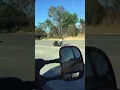 Motorcycle crash