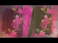 Download Lagu Janam janam instrumental ¦¦ best violin music ¦¦ (dilwale ost)