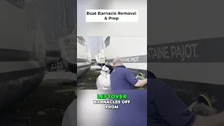 Boat Barnacle Removal & Anti Foul Prep