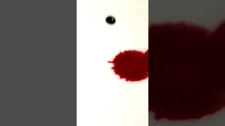 مصاصي الدماء حقيقيين Shorts 