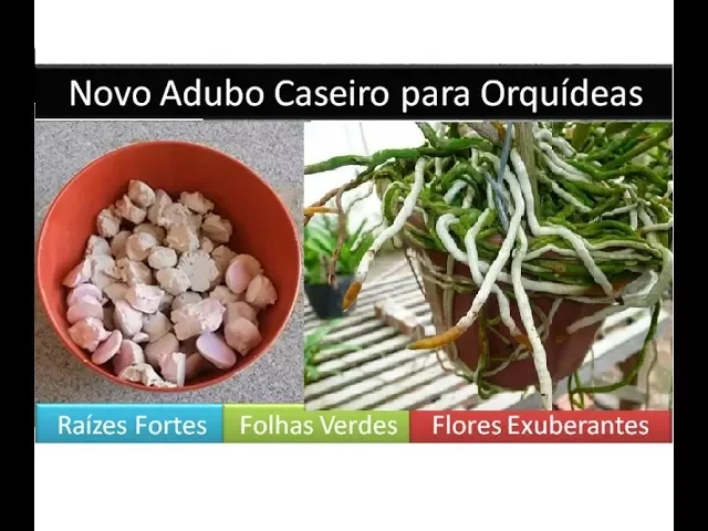 ADUBO PODEROSO PARA ORQUÍDEAS