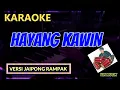 Download Lagu HAYANG KAWIN ( Karaoke Dangdut Koplo ) - Vin Musik Karaoke
