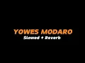 Download Lagu YOWES MODARO  -  Slowed + Reverb (Full Lirik)
