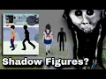 Investigating Shadow Figure and Tunnel in High School Simulator 2018