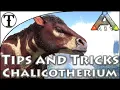 Fast Chalicotherium Taming Guide Ark Survival Evolved Tips and Tricks