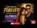 Ucha Lamba Kad Forever | Slowed and Reverbed | Welcome to the Jungle | Akshay Kumar | Disha Patani