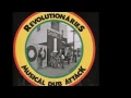 The Revolutionaries - Spirit of Shaka