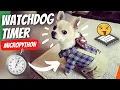 Watc og Timer - What is it and how to use it in MicroPython