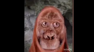 Mr Incredible Uncanny meme monkey evolution incredible Song - Horse Races Live in Aldan