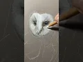 Barn Owl Drawing in coloured pencils