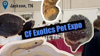 CF Exotics Pet Expo in Jackson TN - Oct 21 2023