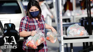 Here s how LAUSD has distributed more than 10 million meals to students