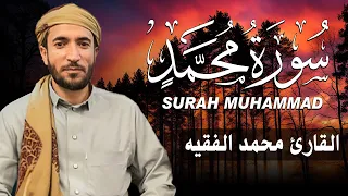 سورة محمد كاملة  مكتوبة   للقارئ الشيخ محمد الفقيه   تلاوة خاشعة ومؤثرة   دندنها