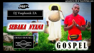 dj veephonik za sebaka nyana ft lady sasha