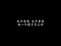 傻子 林宥嘉 (歌词版)