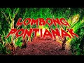 Download Lagu PONTIANAK MENGILAI | LOMBONG PONTIANAK | DENGUSAN MARAH | TOK BUGIS \u0026 TEAM EXPLORER
