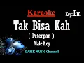 Download Lagu Tak Bisakah (Karaoke) Peterpan Nada Pria/ Cowok/ Male key Em