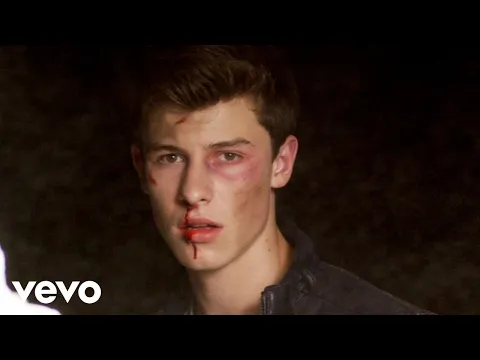 Download MP3 Shawn Mendes - Stitches (Official Music Video)