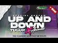 Download Lagu DJ UP AND DOWN X ANIMAL TULUP VIRAL TIKTOK ‼️