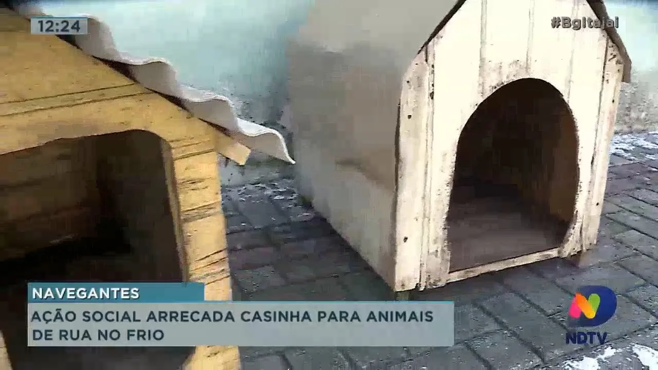 Ação social arrecada casinhas para animais de rua no frio em Navegantes