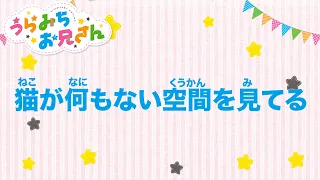 TVアニメ「うらみちお兄さん」きょうのうた 『猫が何もない空間を見てる』