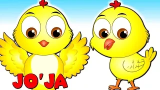 Download Joja Жужаларим Узбекча | Bolalar qo'shiqlari / Болалар учун кушиклар | Small Chicks Rhyme in Uzbek MP3