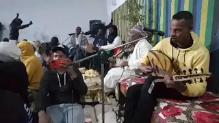 الهاشمي الوتيق قلبي قلبي قلبي مهناني 