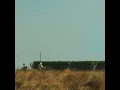 Fugue (partir...) - Contrefaçons