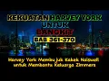 Download Lagu Kekuatan Harvey York Untuk Bangkit BAB 361-370