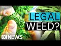 When will marijuana be legalised for adult use in Australia The Business ABC News
