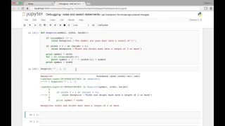 Debugging raise and assert statements part II