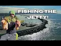 Redondo King Harbor Jetty Fishing Sand Bass Opaleye