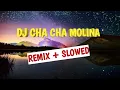 Download Lagu DJ CHA CHA MOLINA | GERALD FAY REMIX (SLOWED)